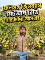 ফলসহ কুল বরই জিও ব্যাগ