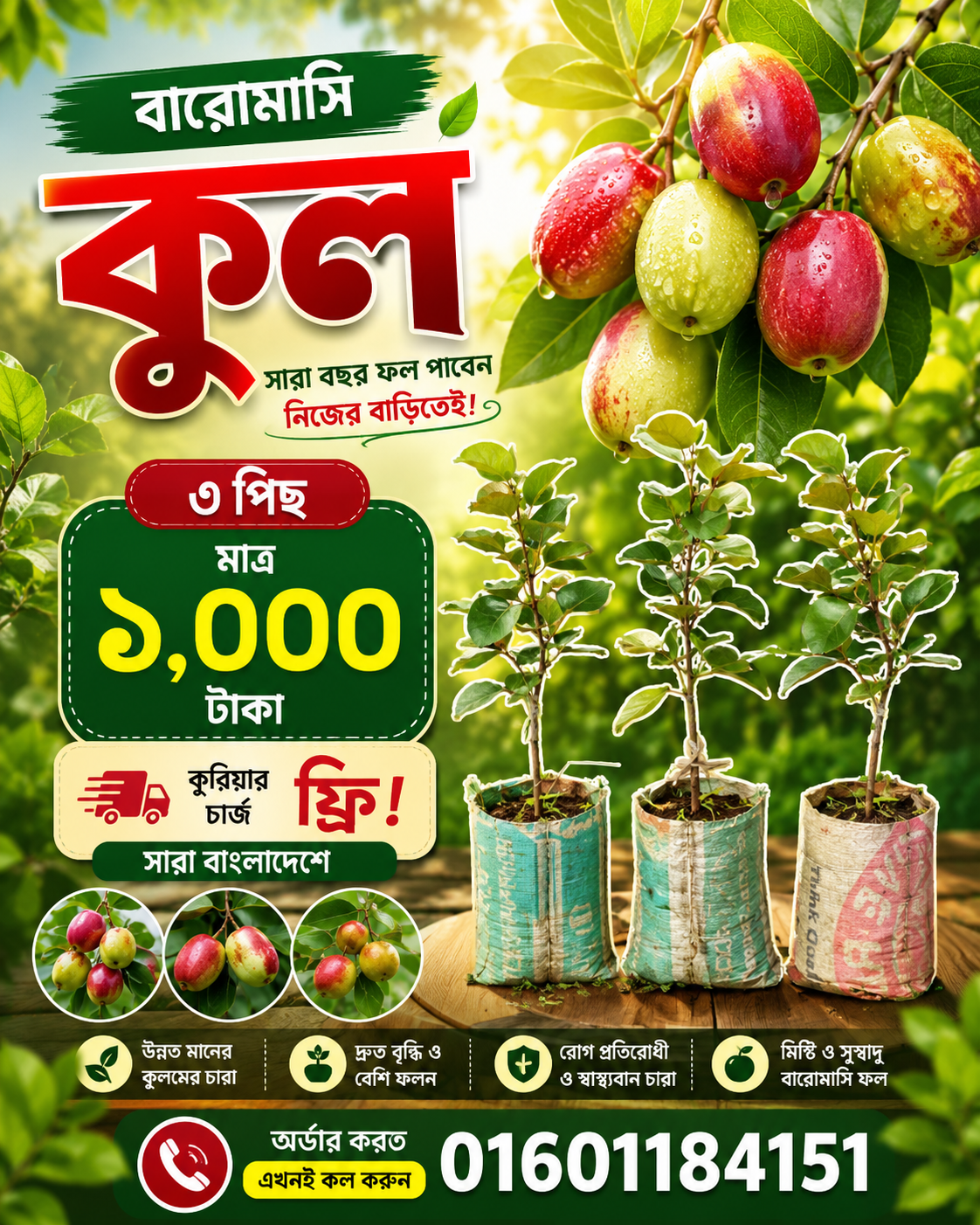 রাজ কুল প্যাকেজ